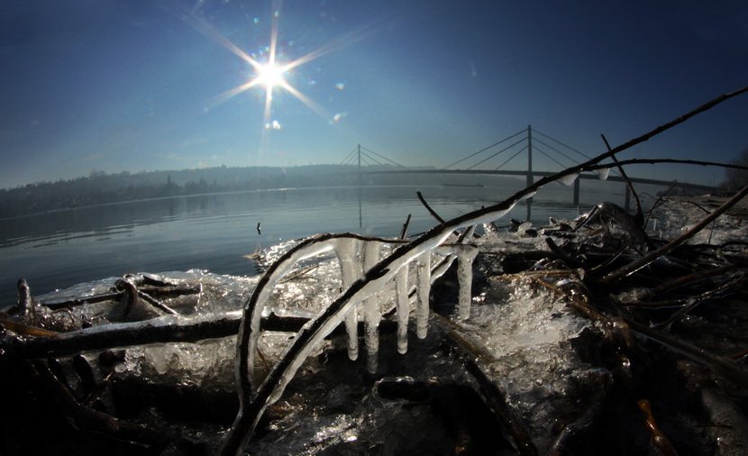 Mraz na Dunavu