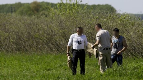 Forenzičari, istražitelji, Jelena Krsmanović, Marjanović