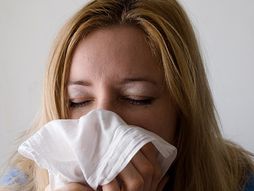 allergy, Ambrozija, kijanje, alergija, devojka, kijavica, prehlada