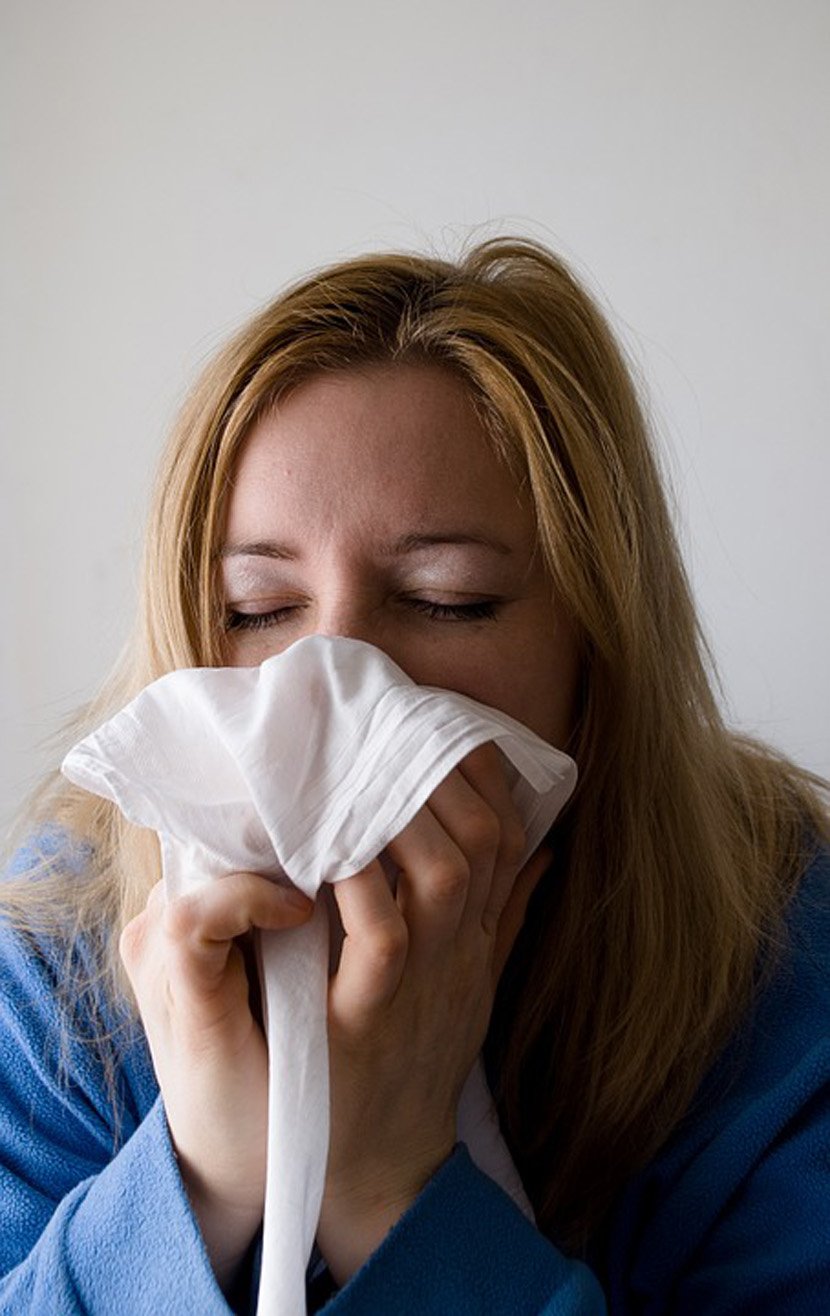 allergy, Ambrozija, kijanje, alergija, devojka, kijavica, prehlada