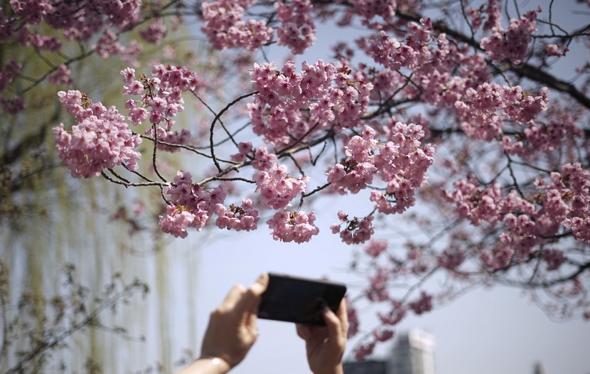 Drastična mera sa ciljem zaštite stanovnika: Čuveni festival ove godine neće biti održan prvi put za 10 godina