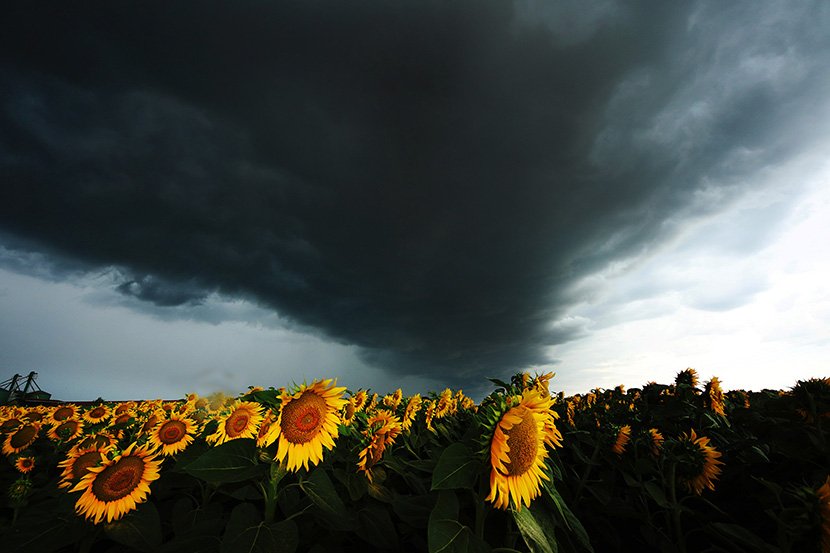 Crni oblaci nad Vojvodinom - Foto: Tanjug/Jaroslav Pap