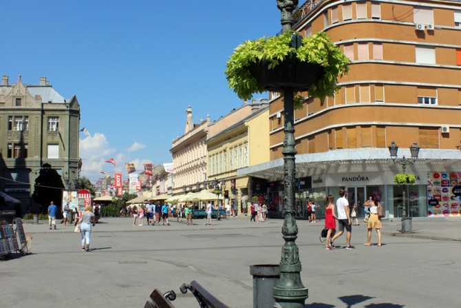 Novi Sad, Exit, Egzit festival, panorama