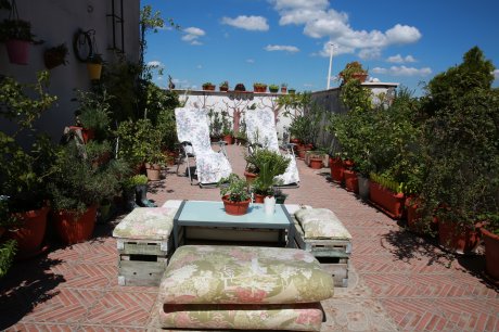 Anđelka Jovanović, krovna terasa, bašta, cveće, voće