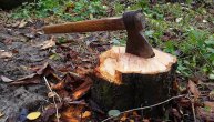 Horrific accident near Pozega: Falling tree kills a man