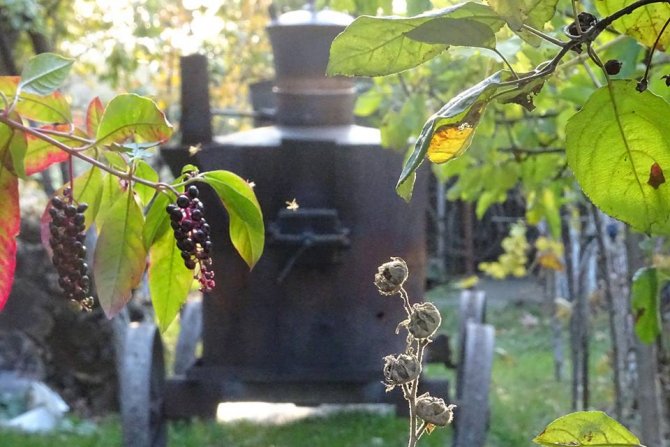 Pecenje rakije, rakija, U domaćinstvu Čavića u Mokrinu