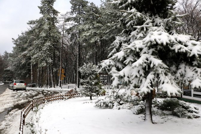 Fruška gora pod snegom