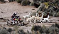 Nestvarni prizori tokom 7. etape Dakar relija u Boliviji (FOTO)