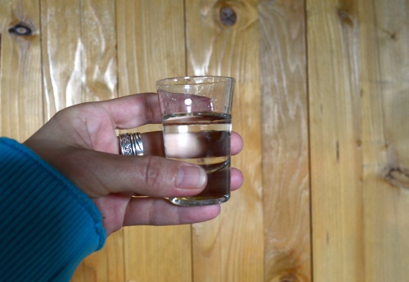 Rakija, vinogradi, sljive Rakija, vinogradi, sljive