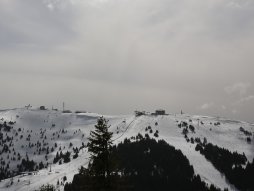 Kopaonik, Pančićev vrh
