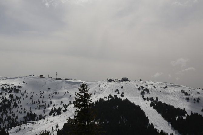 Kopaonik, Pančićev vrh