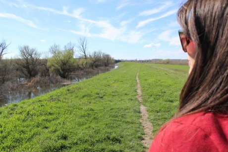 Jelena Marjanović Krsmanović, grob, groblje, dve godine od ubistva, smrti, godišnjica, pomen