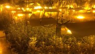 A new arrest of Serbs in Spain: They stole electricity to grow marijuana, and then they packed it for smuggling