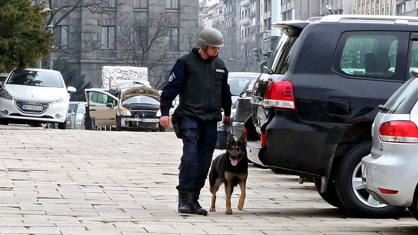 Policijski pas, policija