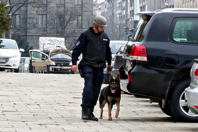 Policijski pas, policija