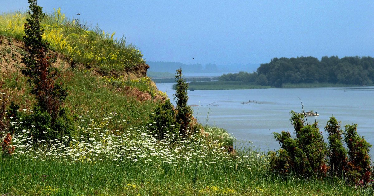 Čak 20 vrsta orhideja krije „Evropska Sahara“: Tu su snimane scene iz čuvenih domaćih filmskih ostvarenja