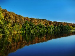 Bajski kanal je kanal koji se nalazi u mađarskom i vojvođanskom delu Bačke.