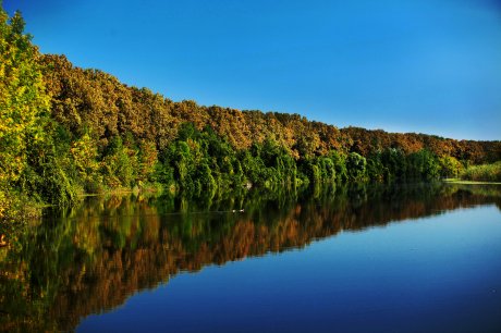 Bajski kanal je kanal koji se nalazi u mađarskom i vojvođanskom delu Bačke.