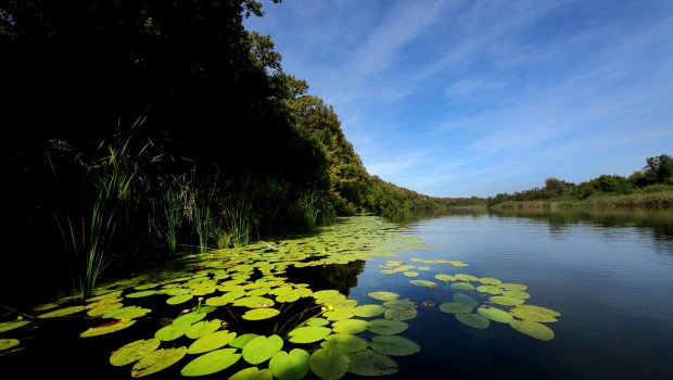 Bajski kanal je kanal koji se nalazi u mađarskom i vojvođanskom delu Bačke.