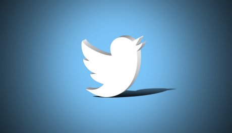 Tviter, Twitter Logo
