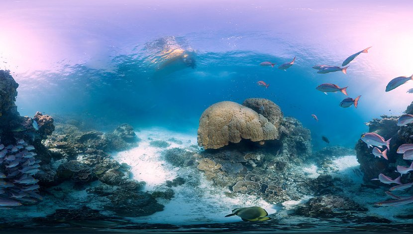 Veliki koralni greben, Australija