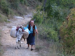 Selo Gostuša, Pirot, Stara planina