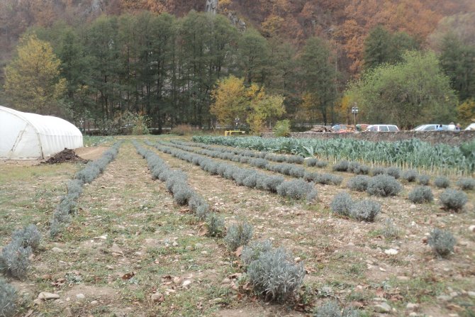 Dolina Pčinje, centar za posetioce, zdrava hrana