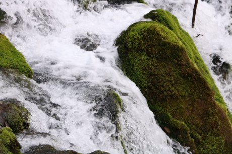 Južni kučaj i vrelo grze i rtanj Južni kučaj i vrelo grze i rtanj