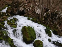 Južni kučaj i vrelo grze i rtanj