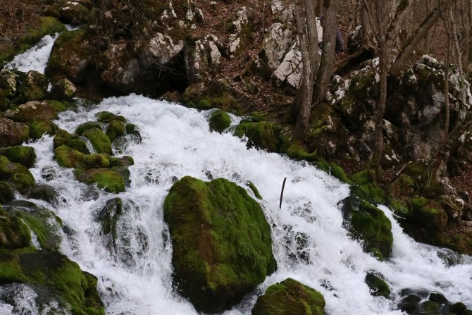 Južni kučaj i vrelo grze i rtanj