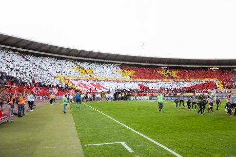 Navijači Crvene zvezde, Delije Navijači Crvene zvezde, Delije