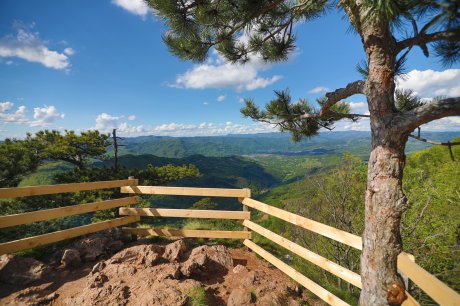 Srbija, Planina Tara Srbija, Planina Tara
