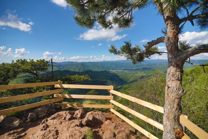 Srbija, Planina Tara