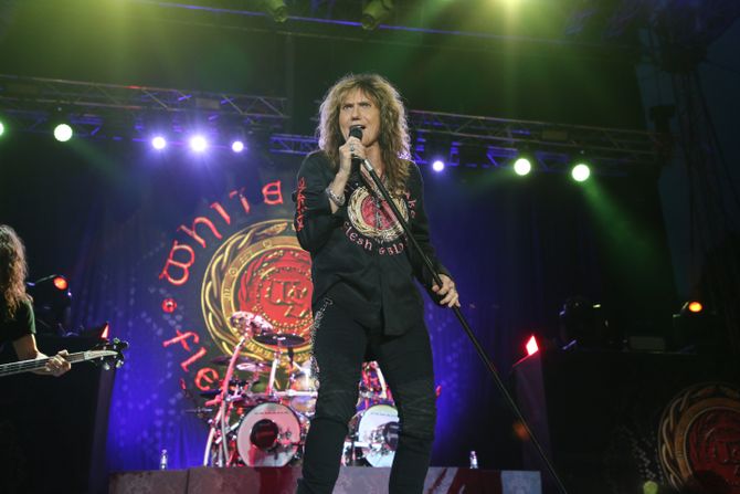 Whitesnake