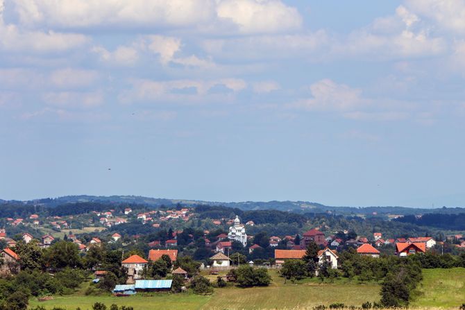 Ripanj, dvorac