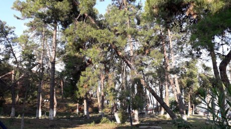 Halkidiki, nevreme, Grcka Halkidiki, nevreme, Grcka