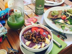 đakonije jelene đoković