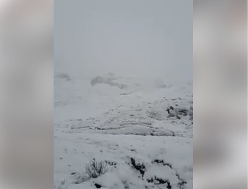 Sneg pao u Alpima