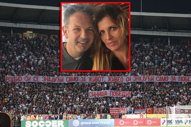 Siniša Mihajlović, Delije