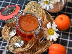 džem od kajsija kajsije