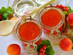 džem od kajsija kajsije