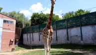 Za sve đake prvake u Srbiji besplatan ulaz u jagodinski Zoo vrt 2. i 3. septembra