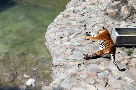 Zoološki vrt u Jagodini