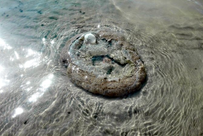 Sundjer na Strandu