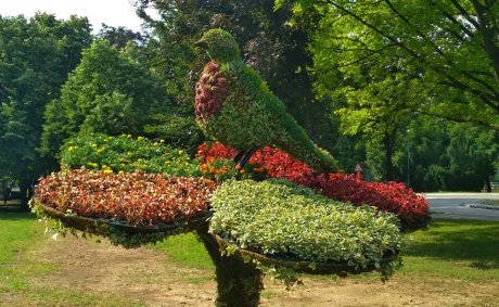 Vrabac, Ada ciganlija Vrabac, Ada ciganlija
