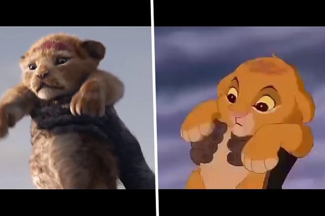 lion king