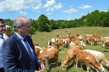 Gornji Milanovac, Milan Krkobabić, stočarska zadruga Pranjinka u selu Pranjani Gornji Milanovac, Milan Krkobabić, stočarska zadruga Pranjinka u selu Pranjani