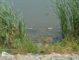 Još jedan skriveni biser jeste i jezero Pariguz u Resniku do kojeg se lako dolazi iz centra Beograda.
