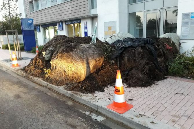 Izmet ispred sedista stranke Emanuela Makrona