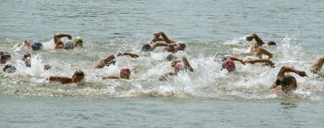 Beogradski plivački maraton
